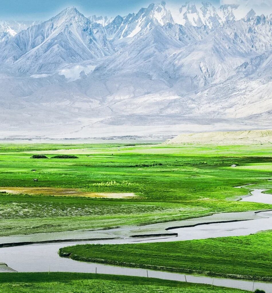 Ili River Valley Grassland Flower Sea Route