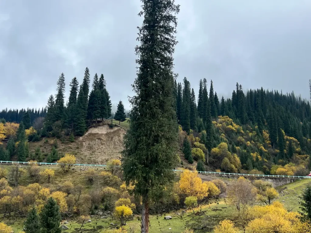 Xinjiang China Travel 