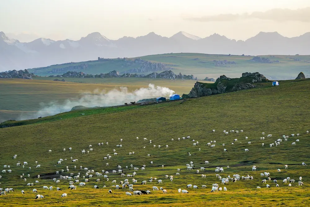 Xinjiang Bayinbuluke Travel Guide