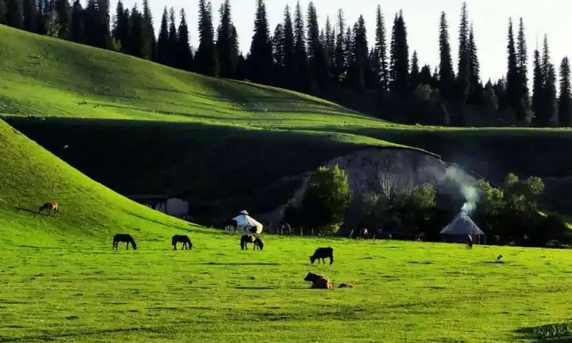 Xinjiang Nalati Travel Guide