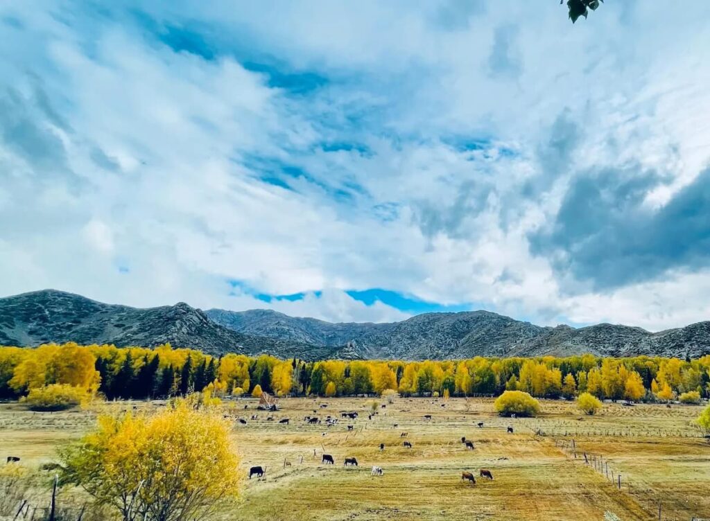 Xinjiang Travel Guide