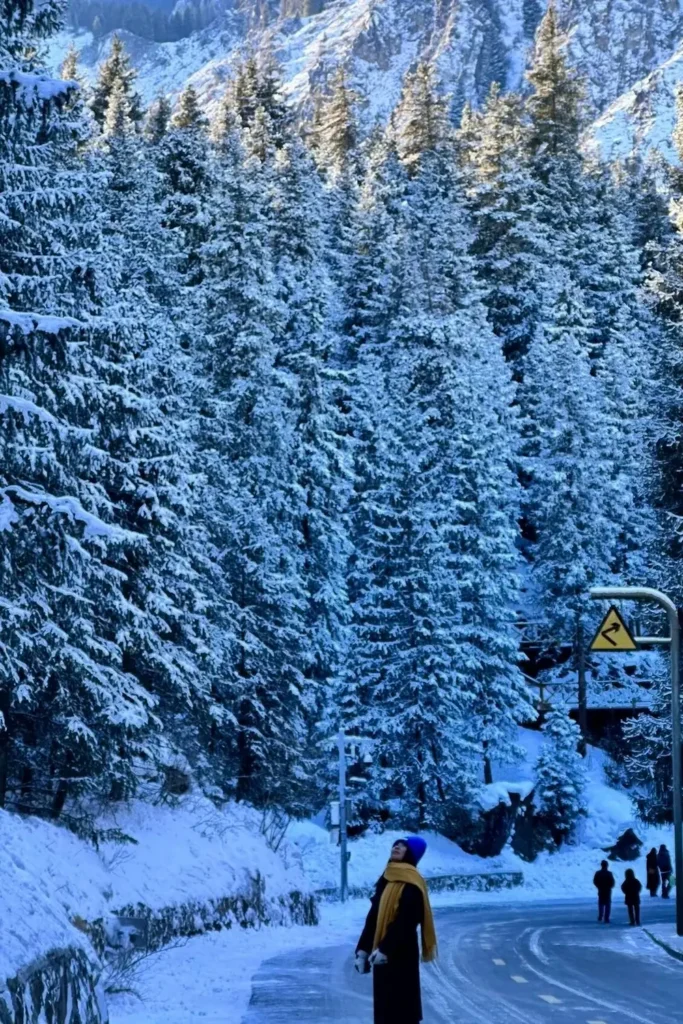 Tianshan Tianchi World Heritage Snow and Ice Route