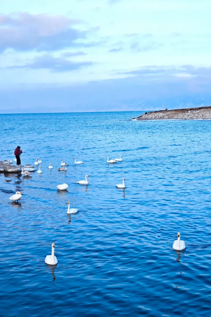 Wensai Ice and Snow Wellness Tourism Route